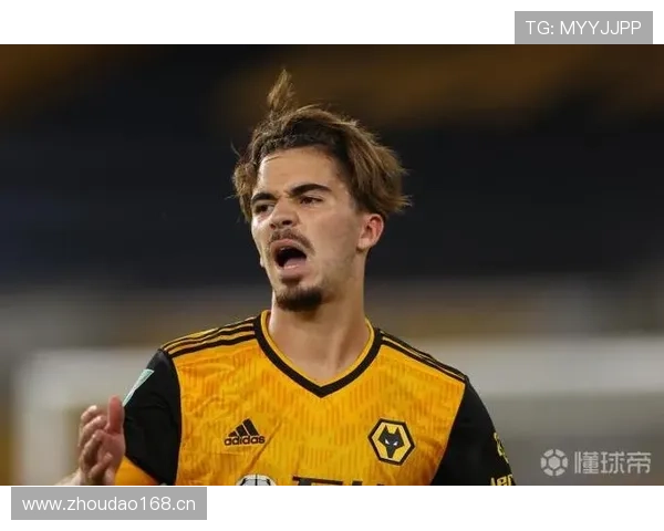 维蒂尼亚战术作用分析：数据背后的组织者角色如何被低估