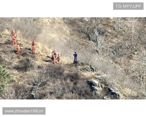 乌加特防线前屏障作用的防守价值解析 乌加特防线前屏障作用的防守价值解析